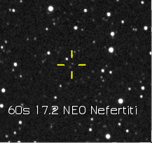 NEO Nefertiti